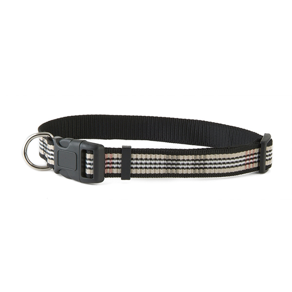 Stylish Collar