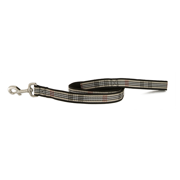 Stylish Collar
