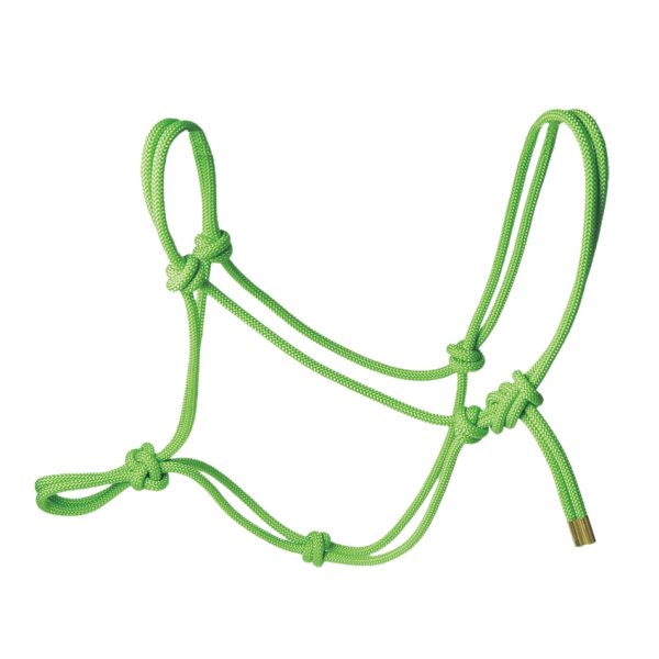 Rope Halter