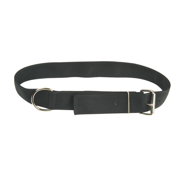 Bridle