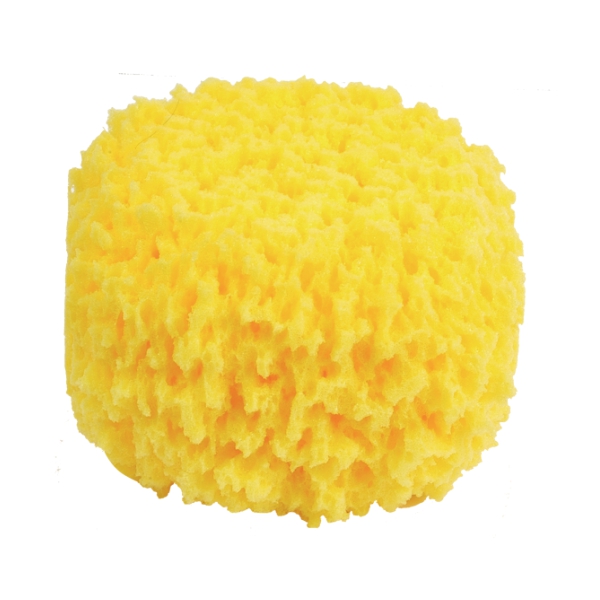 Sponge