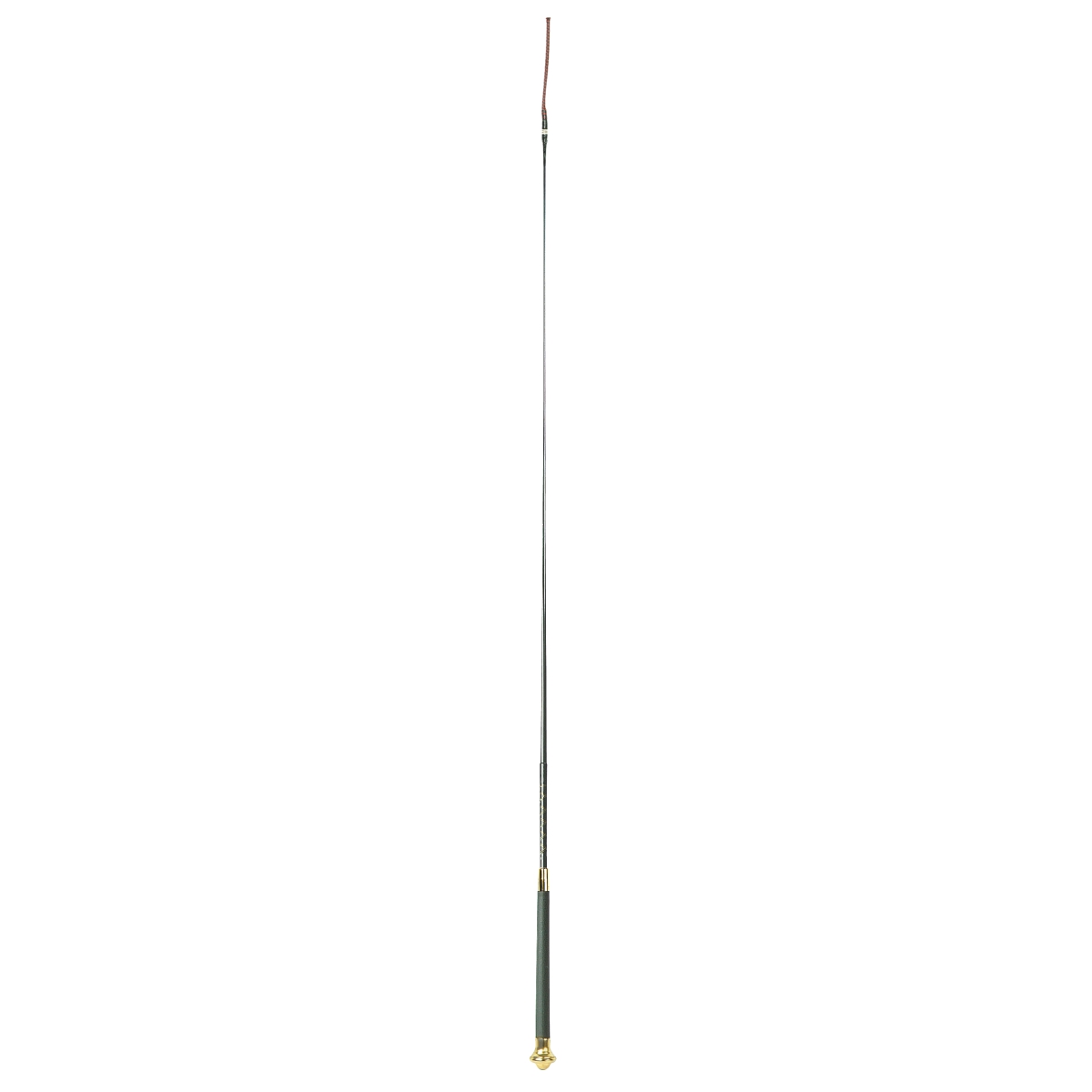 Dressage Whip