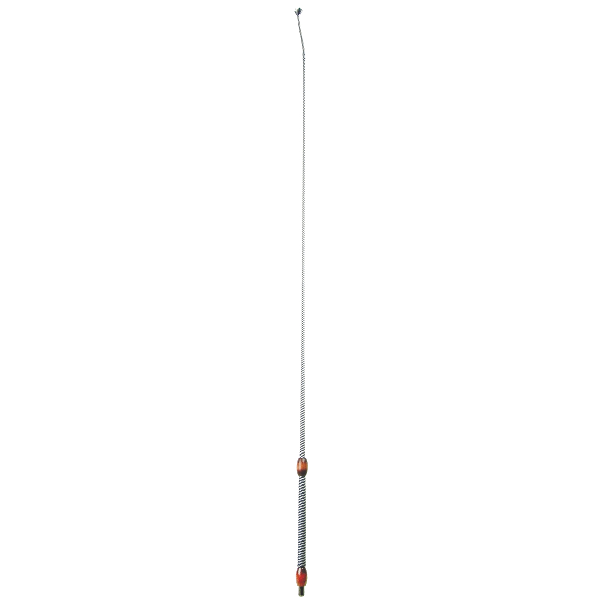 Dressage Whip