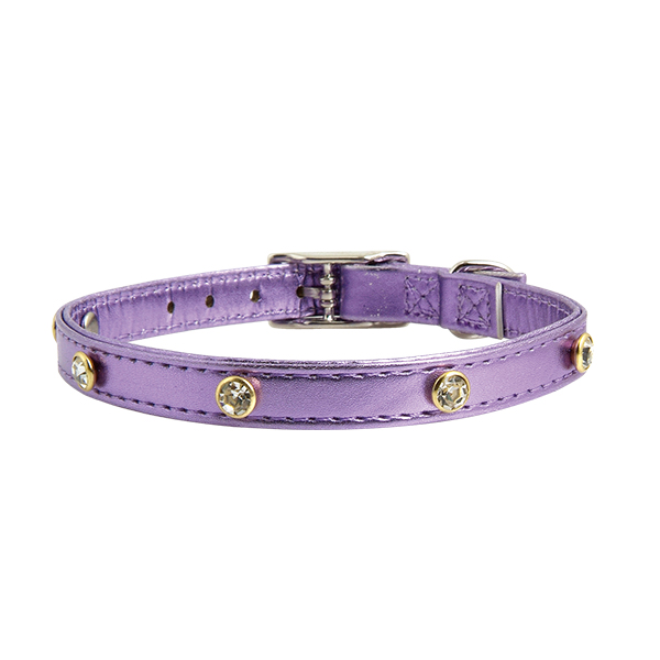 Metallic Matted Dog Collar