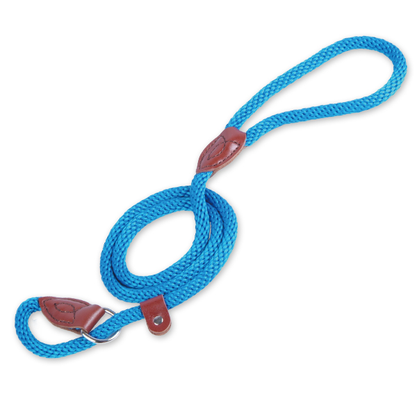 Leash & Collar in One