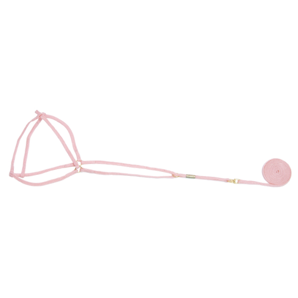 Nylon Lead / Hamess for Cat & Puppy