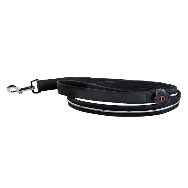 LED Flashing Dog Lead