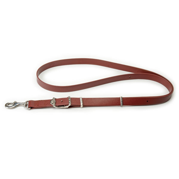 PVC Dog Leash
