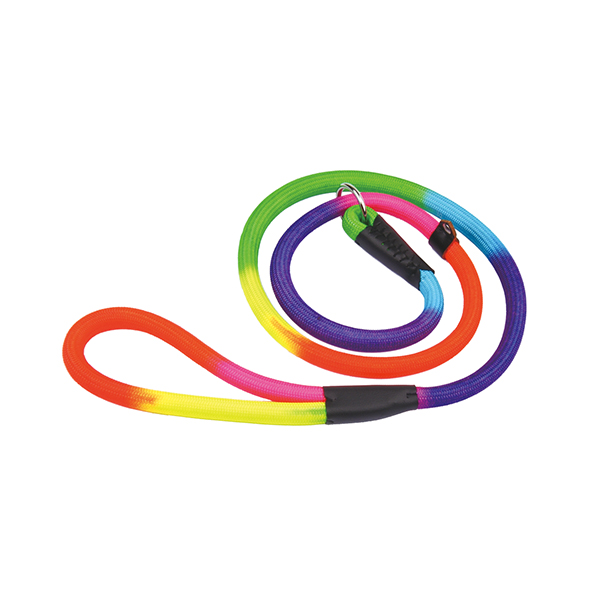 Rainbow Nylon Rope Leash & Collar In One