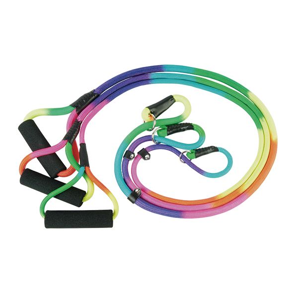 Rainbow Nylon Rope Leash & Collar In One