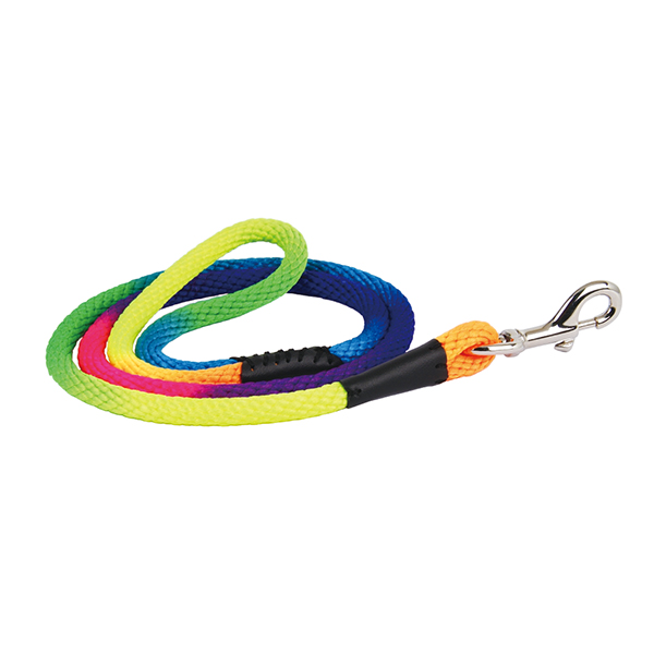 Rainbow Nylon Rope Lead