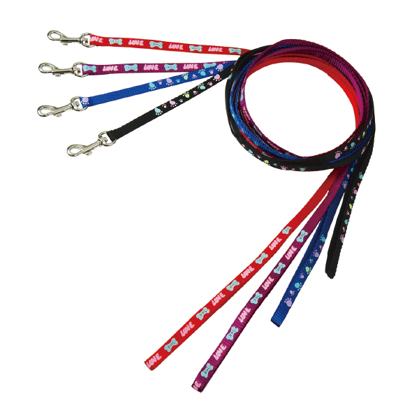 Luminous Nylon Leash