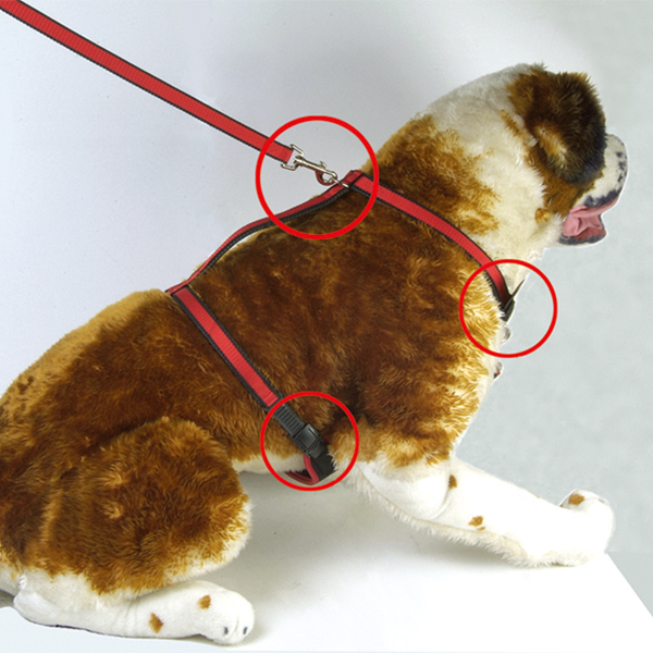 Comfort Padded Dog Harness with Lead