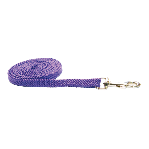 Nylon Cat & Puppy Leash