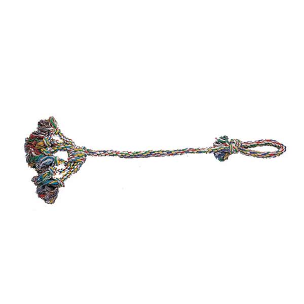 Pull & Fetch Multi Color