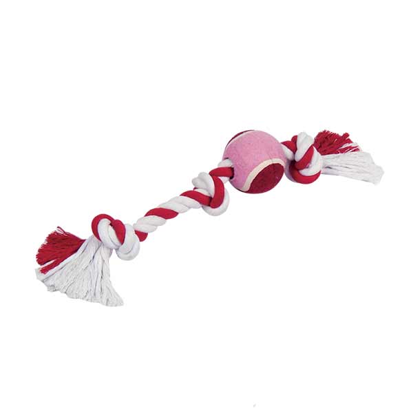 Dog Toy