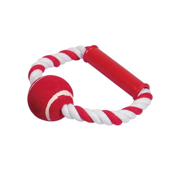 Dog Toy