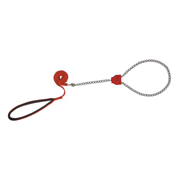 2-in-1 Nylon Lead with Adjustable Chain Collar