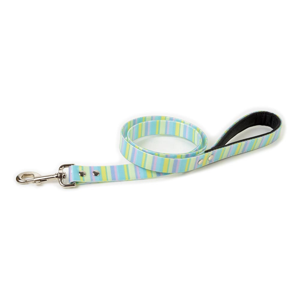 Decorative TPU Leash