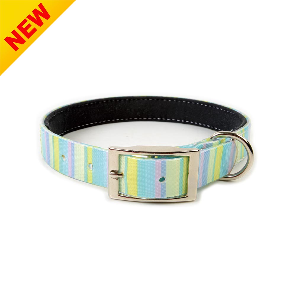 Decorative TPU Dog Collar