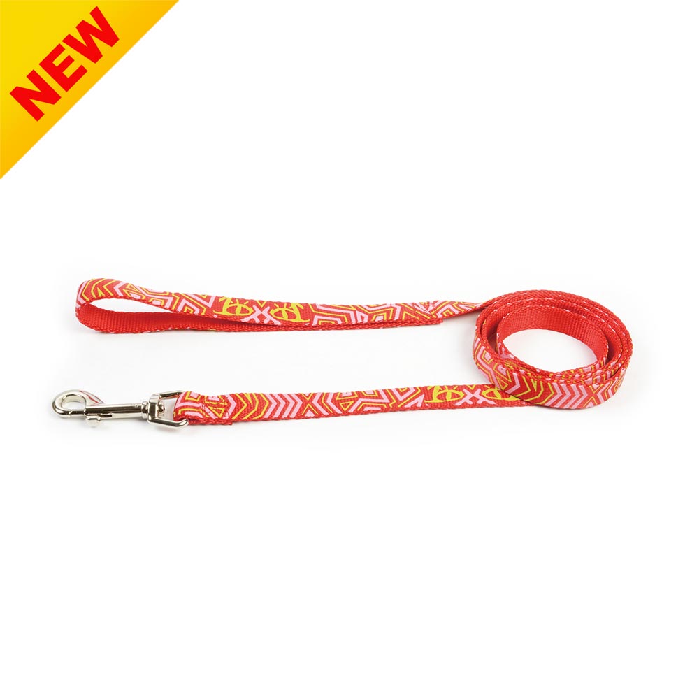 Dog Leash