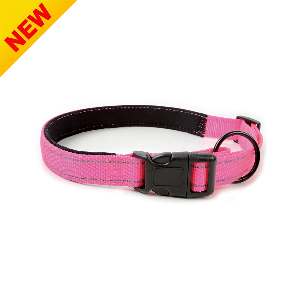 Reflective Nylon Dog Collar