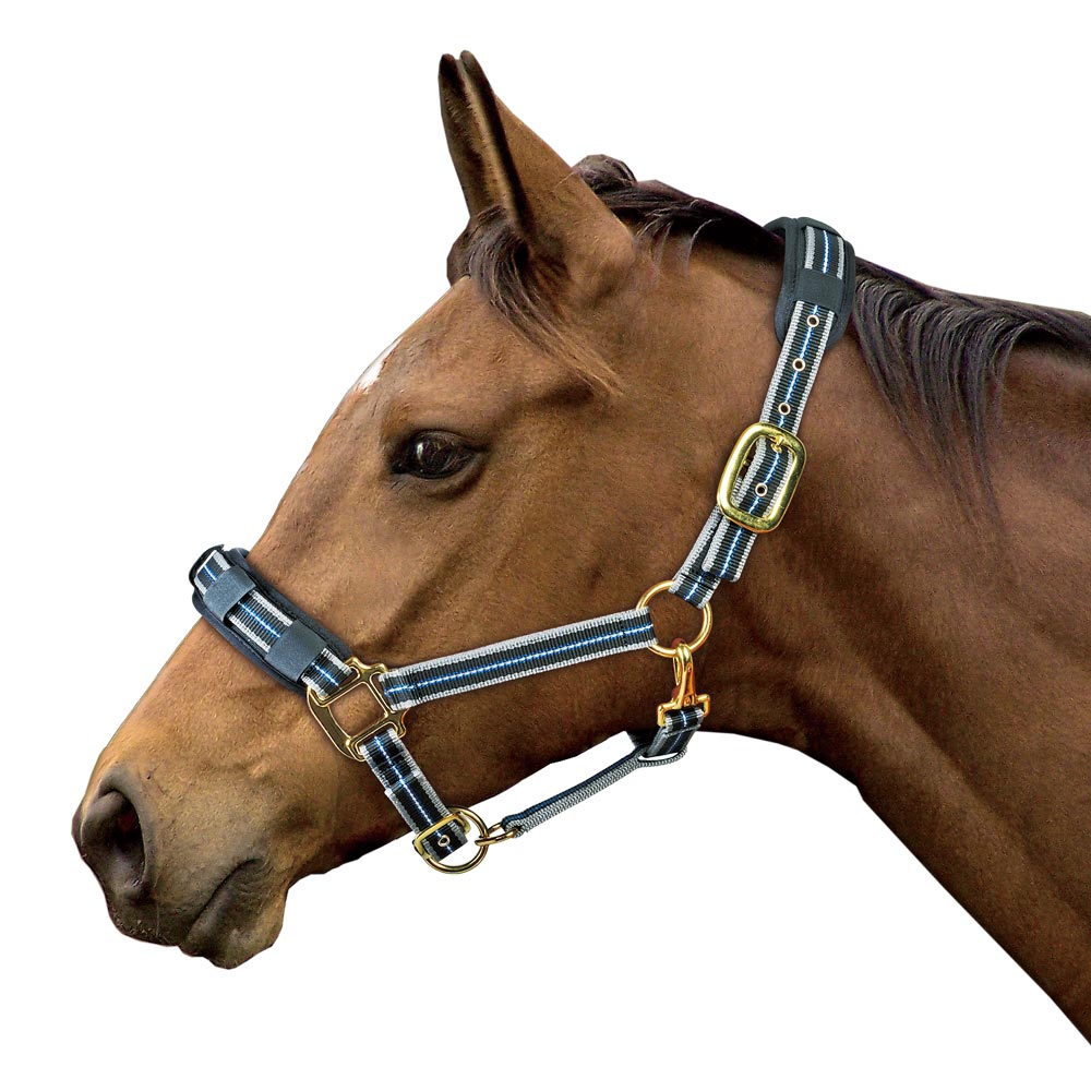 Reflective Halter