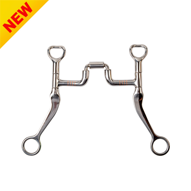 SS Correctional Bits