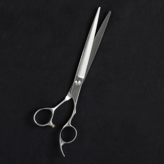 Stainless Steel Straight Shear