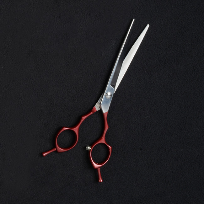 Stainless Steel Straight Red Shear
