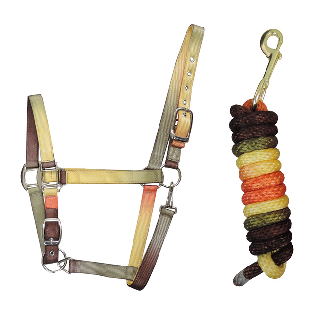 Rainbow Halter & Rope Lead