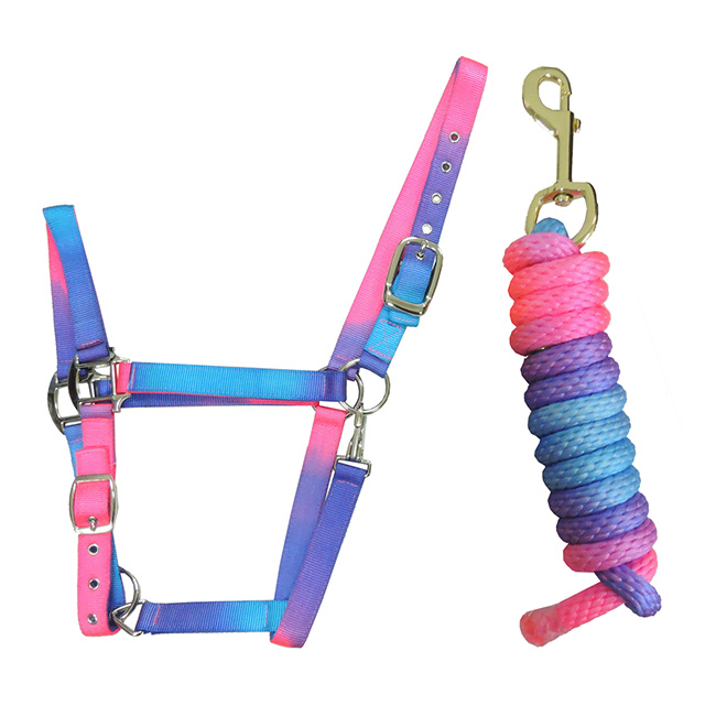 Rainbow Halter & Rope Lead