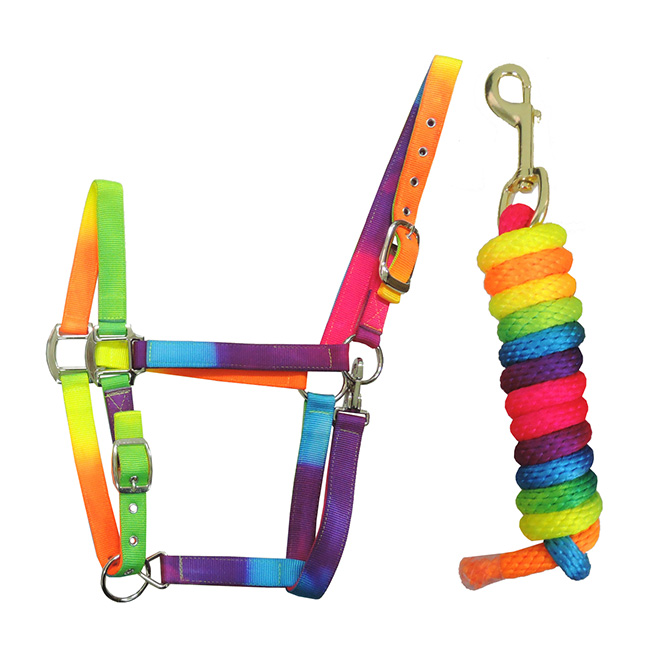 Rainbow Halter & Rope Lead