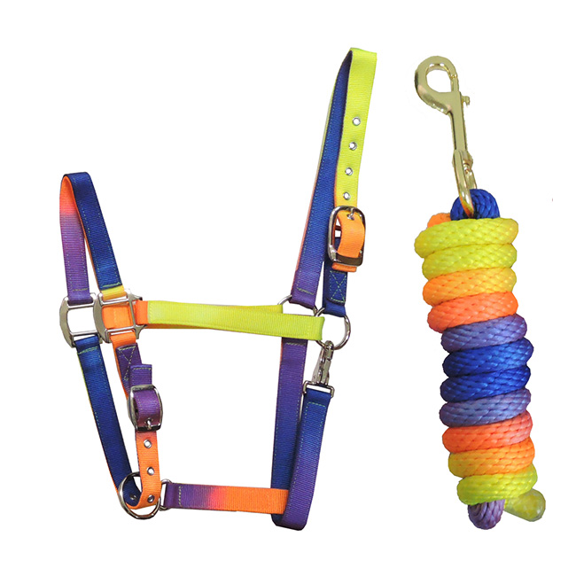 Rainbow Halter & Rope Lead